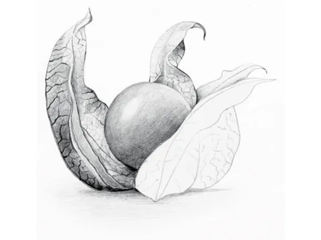 Staedtler Potlood Mars Lumograph 12 Stuks