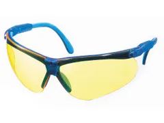 MSA Perspecta 010 veiligheidsbril