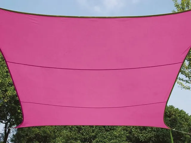 Zonnezeil Rechthoek 2x3m Fuschia