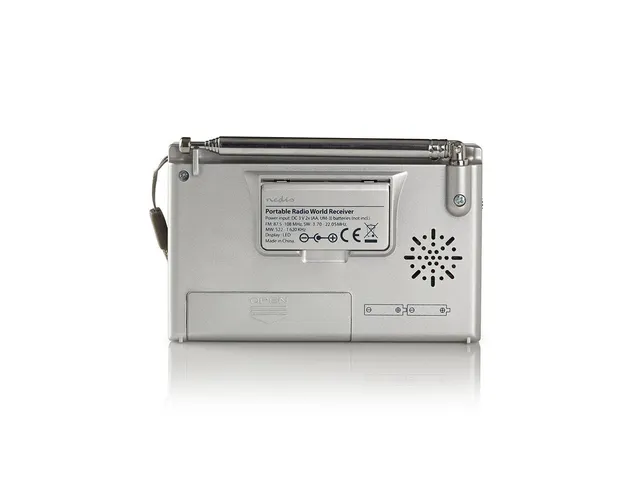Wereldradio Nedis met wekker RDWR1000GY