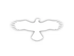étiquette Rapace PVC blanc autoadhésif Hxl 145x367mm