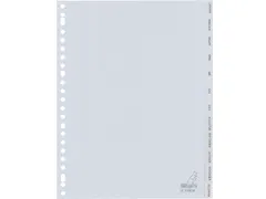 Tabbladen Kangaro A4 23-Gaats G412JM 12-Delig jan-dec Grijs Pp