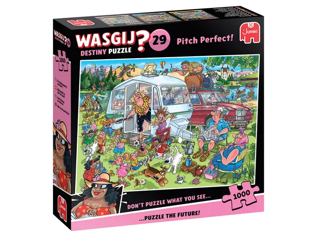 Puzzel Wasgij Destiny 29 Op De Camping! 1000 stukjes