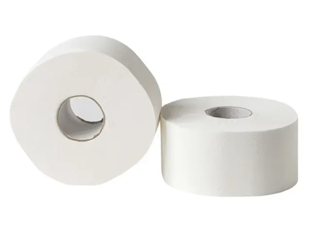 Toiletpapier Mini jumborollen cellulose 2-laags Wit FSC Pallet 48 Pak