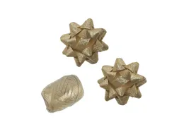 Polyband combi set glitter goud cadeaulint 1 ei 2 rozetten