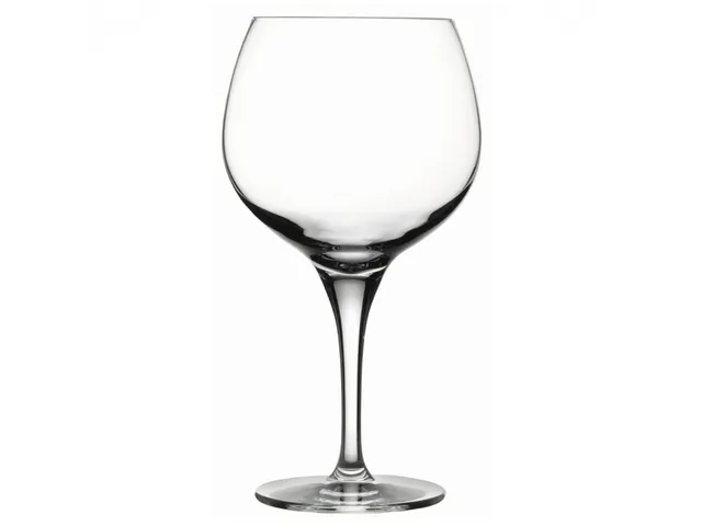 Nude Primeur Bourgogne Wijnglas 60cl 6 Stuks