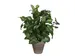 Kunstplant Mica Syngonium groen in pot 35x25cm