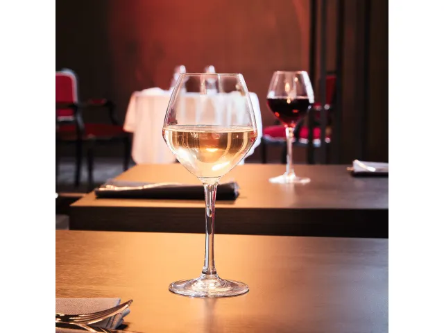 Chef & Sommelier Cabernet Vins Jeunes Wijnglas 35cl, doos 6 stuks