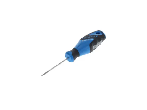 2163 Schroevendraaier TX T5 3C