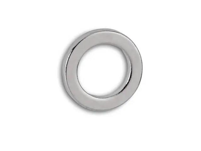 Neodymium Ringmagneet 12mm 0.5kg 10 Stuks