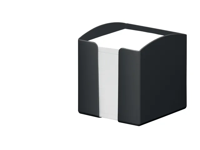Memokubus Durable ECO Zwart