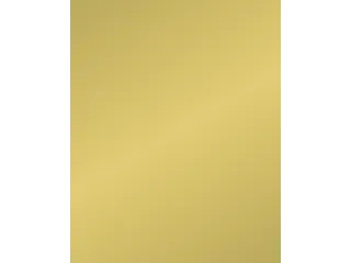 Etalagekarton Folia 48x68 cm 400gr Nr 611 Goud - 1