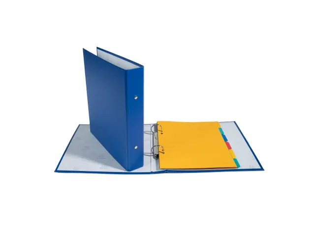 Ringmap PP 17X22 2R 25mm geassorteerd