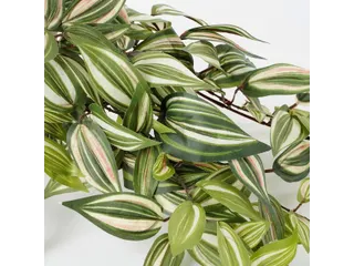 Kunstplant Mica Tradescantia hangend groen 45x25cm - 7