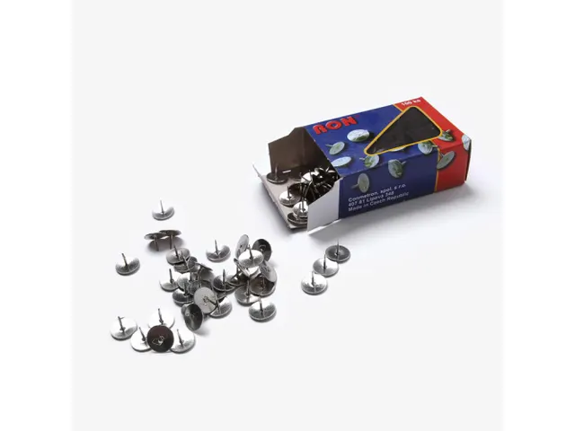 Scritto Kop Punaises set van 100 stuks