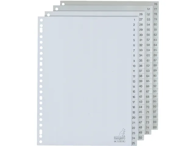 Tabbladen Kangaro A4 23-Gaats G4100CM 1-100 Genummerd Grijs Pp