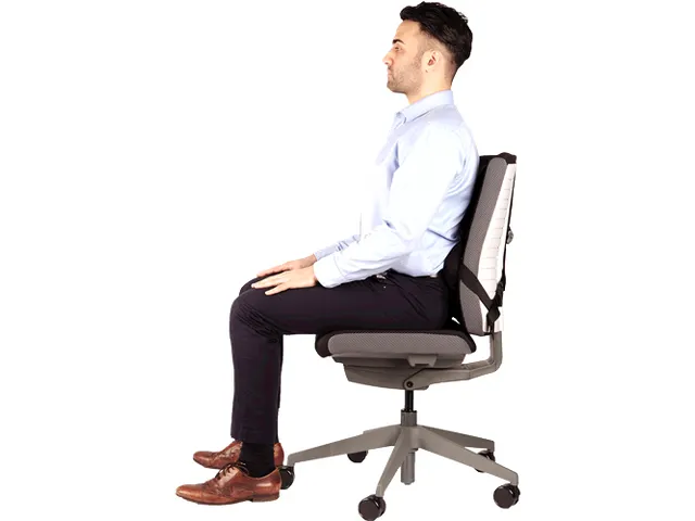 Support dorsal Fellowes Pro Ultime noir