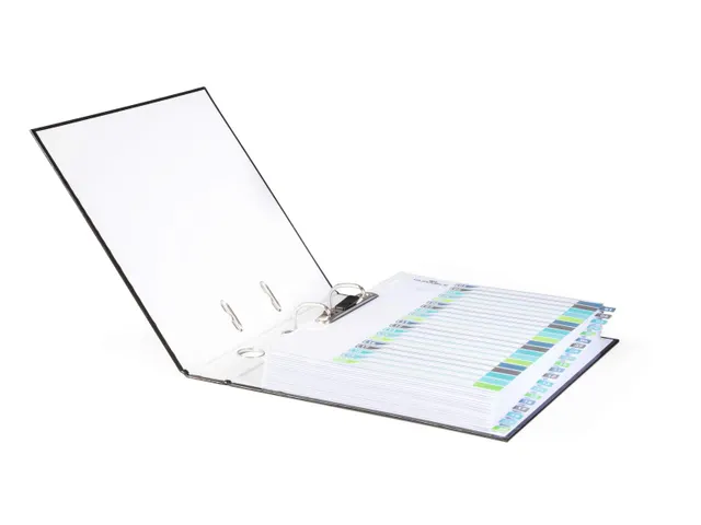 Intercalaire A4+ Durable 1-20 onglets de couleur PP personnalisable