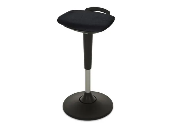 Stasteun Schommeleffect In Alle Richtingen Zitting Stof Zwart