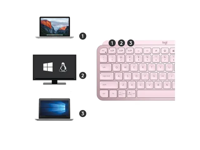 Logitech MX Keys Mini Minimalist Toetsenbord Roze Qwerty US