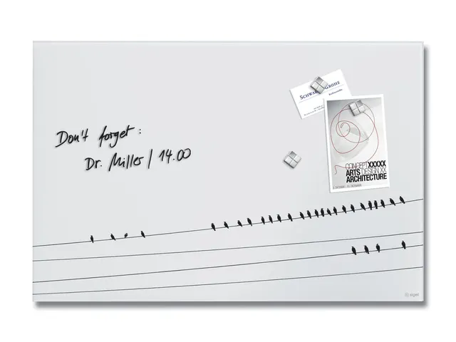 Glasmagneetbord Sigel mat LITTLE BIRDS 60x40cm