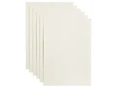 Kopieerpapier Papicolor A4 100gr 12 vel anjerwit