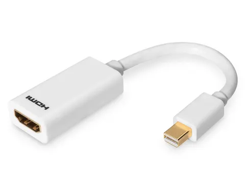 Mini DisplayPort HDMI-adapter converter Wit