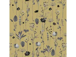 Toonbankrol Kangaro kraft nature 60 grams 50 cm breed 250 meter