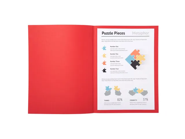 100 dossiermappen SUPER 250 24x32cm Rood