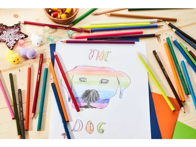 Crayon de couleur STABILO Color assorti 288 pièces