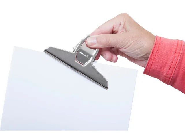 Papierklem MAULpro 125mm Licht Zilver