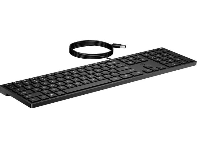 HP Desktop 320K toetsenbord bedraad QWERTY Zwart