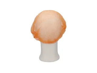 CMT Haarnet Clip Cap PP Non Woven Oranje Maat XL 58cm 1000 Stuks - 2