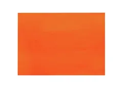Infibra I-0636N Placemats 30x40cm Oranje 2000 Stuks