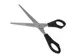 Ciseaux Westcott 155mm inox manche plastique