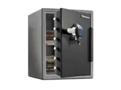 OUTLET Coffre-fort Ignifuge Sfw205gpc