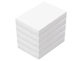Kopieerpapier Canon White label Copy A4 80gr pak 500vel doos a 5 pak - 2