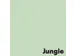 Offset papier Image Coloraction jungle/lichtgroen 80g 650x920mm FSC