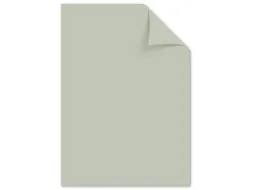Papier Kangaro A4 80grs pastel grijs pak 100 vel