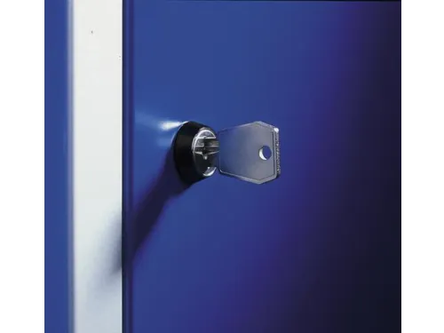 lockerkast,HxBxD 1950x460x480mm,2x5vakken,romp RAL7021,front RAL7021