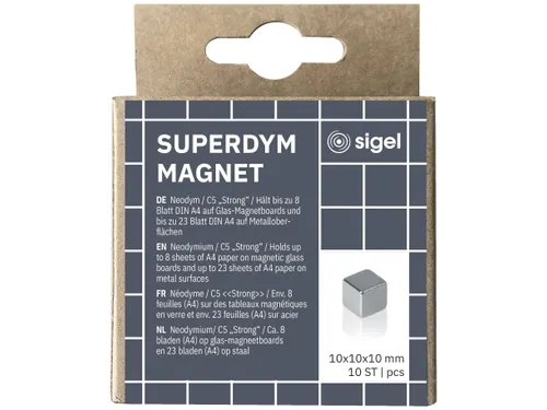 Magneten Sigel voor glasbord set 10stuks zilverkleurig C5 sterk 10x10x