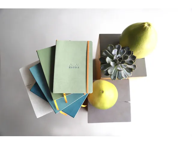 Carnet de notes Rhodia A5 ligné 80 feuilles 90g céladon