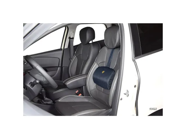 Lordose Zitsteun Zwart