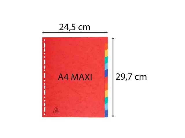 Tabbladen glanskarton 225g 12-delig A4 maxi Assorti