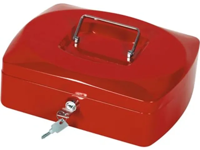 Geldkoffer Rood 255x200x85mm Inclusief 2 Sleutels