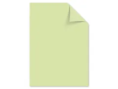 Papier Kangaro A4 160grs lichtgroen pak 50 vel