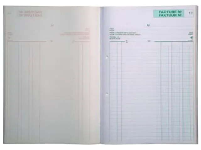 Exacompta Facturier, Ft 29,7x21 Cm, Bilingue, Dupli (50 X 2 Feuilles)