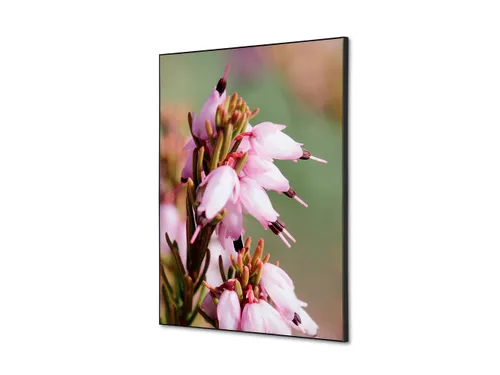 Wanddecoratie Textiel Set A2 Roze Bloem Erica