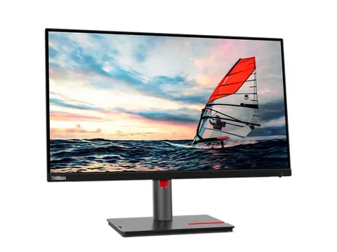 Lenovo ThinkVision P25i-30 LED display 24.5 Inch Monitor Full HD