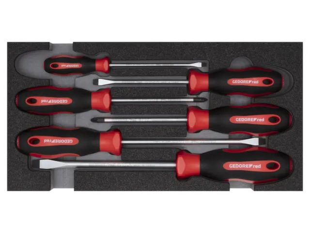 R22150014 Schroevendraaierset PZ+SL 2/6 CT-module 6-delig